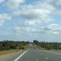 ホームページ開設しました