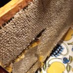 マリーハニー巣蜜