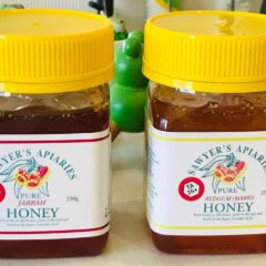 西オーストラリア産はちみつが入荷します！