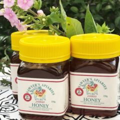 店主の独り言～はちみつで腸内フローラを健康に