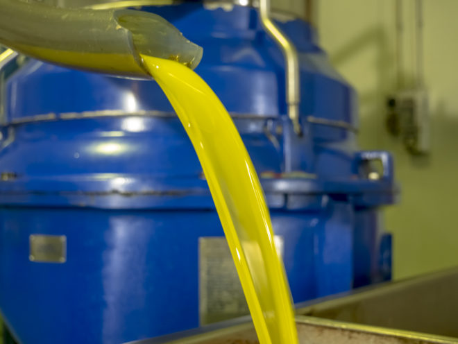 オリーブオイルしぼりたて