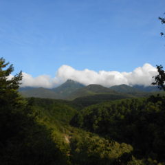 ２０２１年　夏休み～ペルセウス流星群