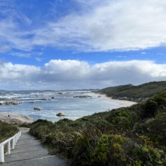 4年ぶりのパース③【ちょっと休憩ワインを探して】Albany~Denmark