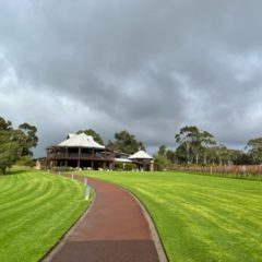 4年ぶりのパース⑤【ワインの町Margaret River】